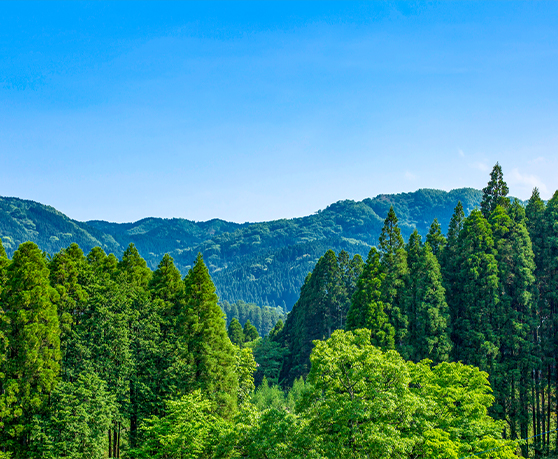 受け継ぐだけじゃない。林業を、もっと前へ。