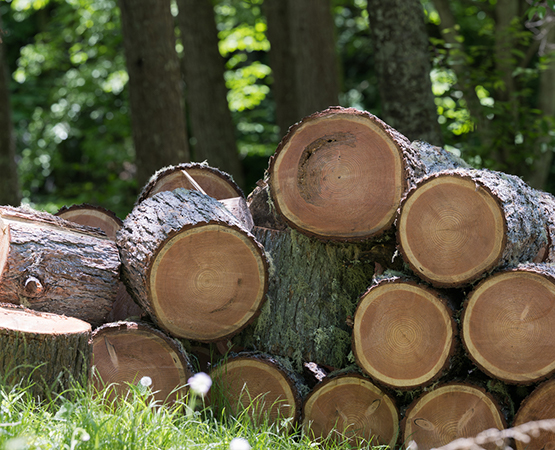 FIREWOOD